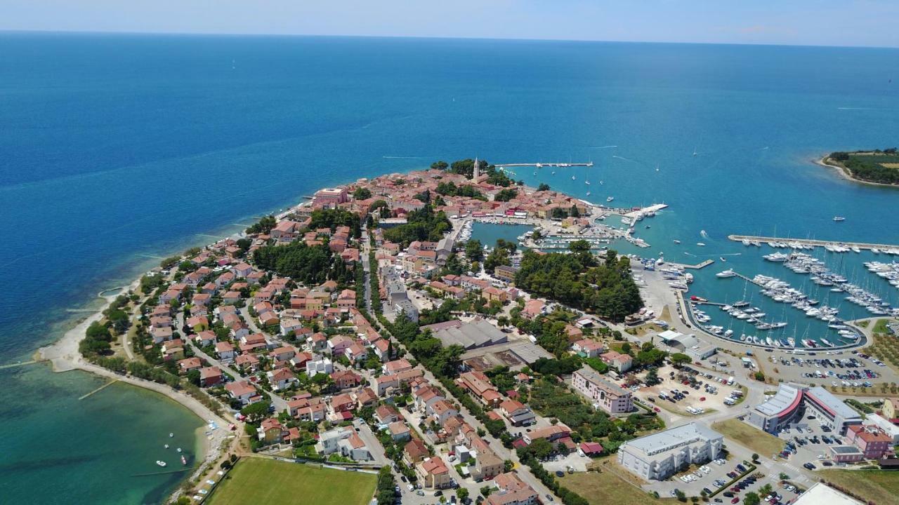 Apartman Petelin Novigrad  Exterior photo